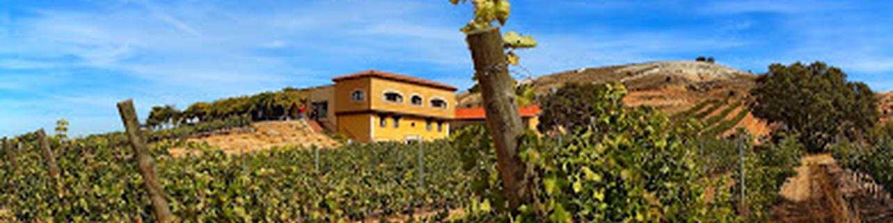 Bodegas Valdubón S.L. Bodegas Valdubón S.L.