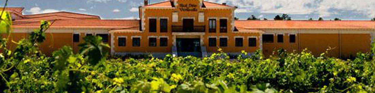 Bodegas Pradorey (Real Sitio de Ventosilla) Bodegas Pradorey (Real Sitio de Ventosilla)