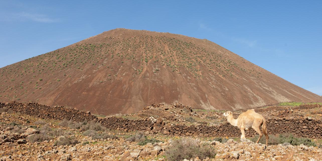 Monumento Natural Caldera De Gairia Guia Repsol
