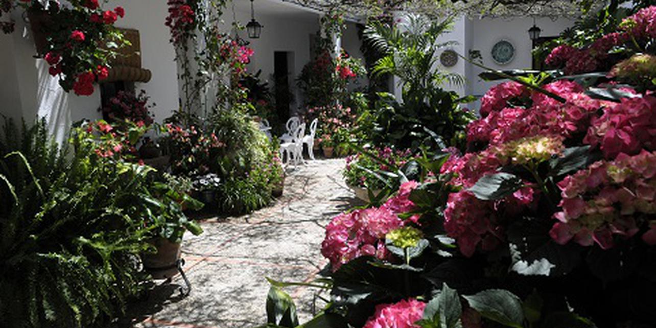 Feria De Los Patios Portuenses Guia Repsol