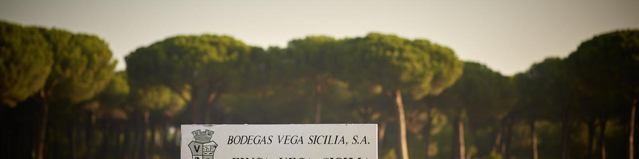 Bodegas Vega Sicilia S.A.