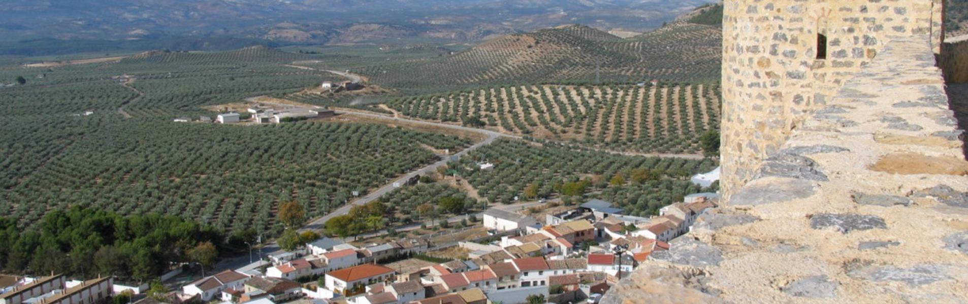 Alcaudete Guía Repsol