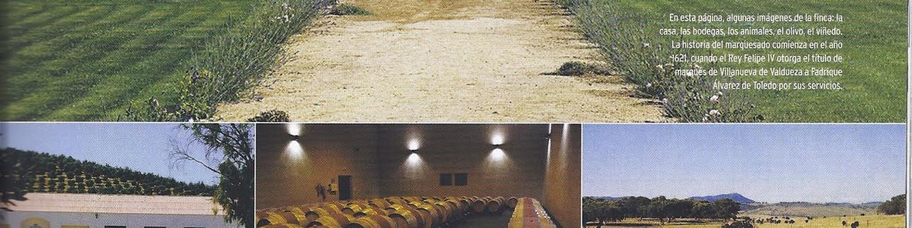 Bodega Marqués de Valdueza Bodega Marqués de Valdueza