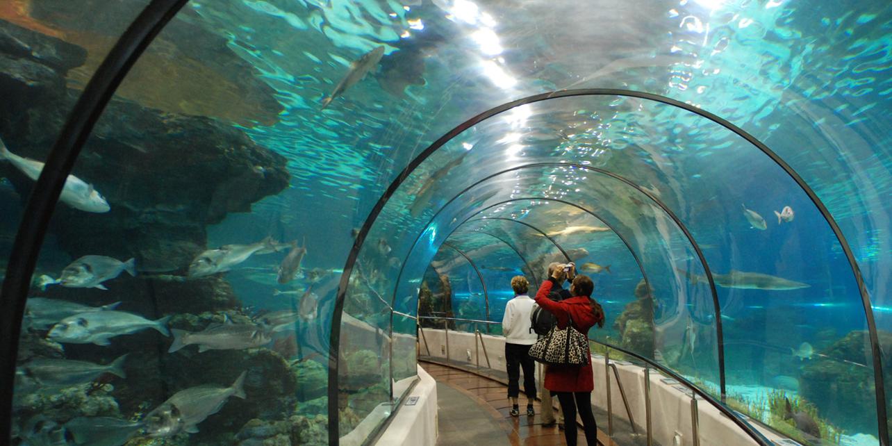 Aquarium de Lanzarote