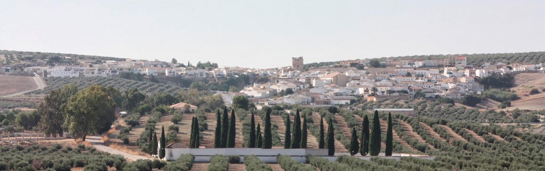 Higuera de Calatrava Guía Repsol