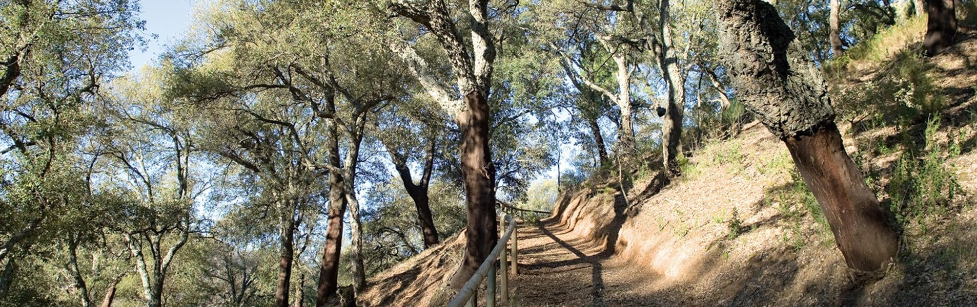 Pujerra Guía Repsol