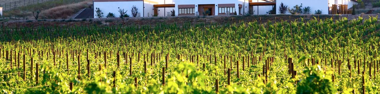 Bodegas Vetus Bodegas Vetus
