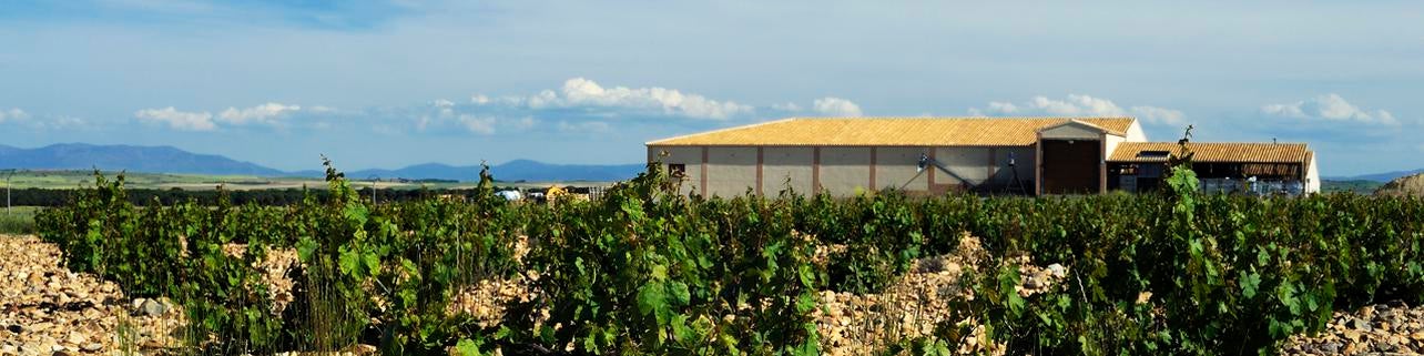 Bodegas y Viñedos Shaya S.L Bodegas y Viñedos Shaya S.L