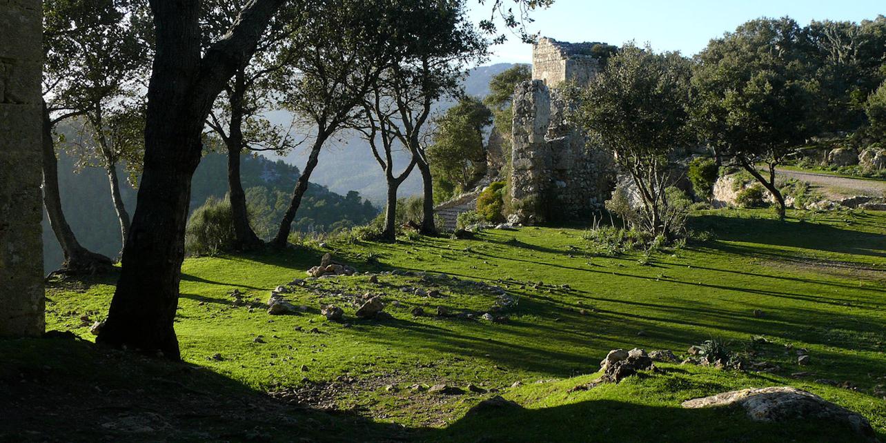 Castillo de Alaró Castillo de Alaró