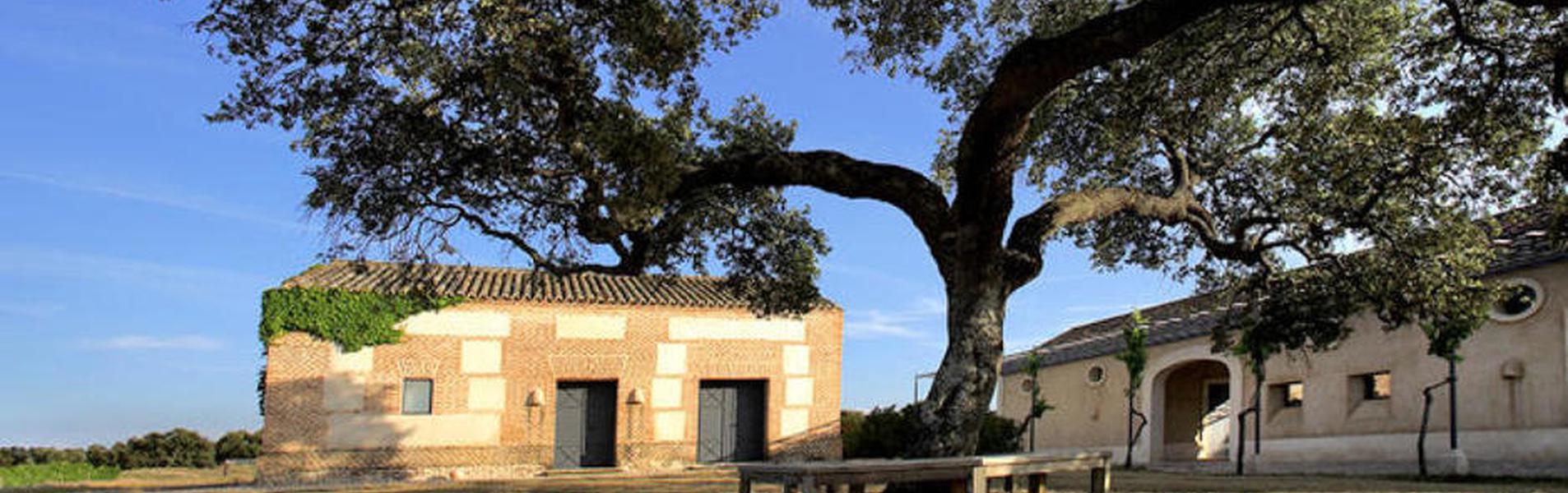 Bodegas Arrayán | Guía Repsol