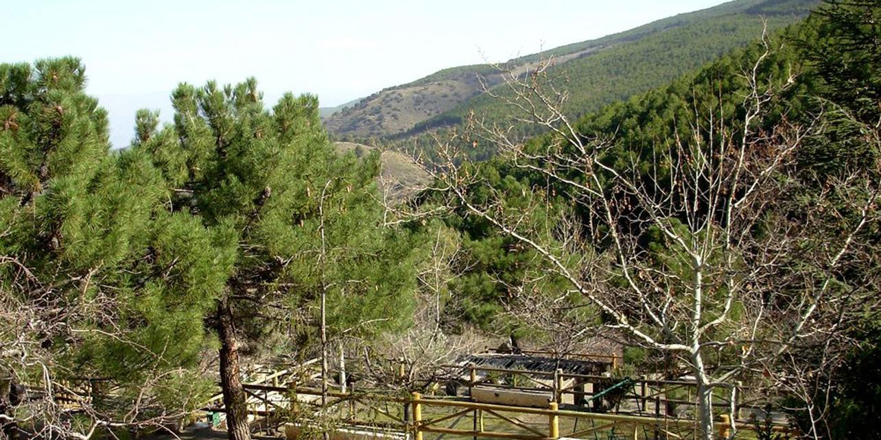 Área Recreativa La Roza (Parque Natural Sierra Nevada) Área Recreativa La Roza (Parque Natural Sierra Nevada)