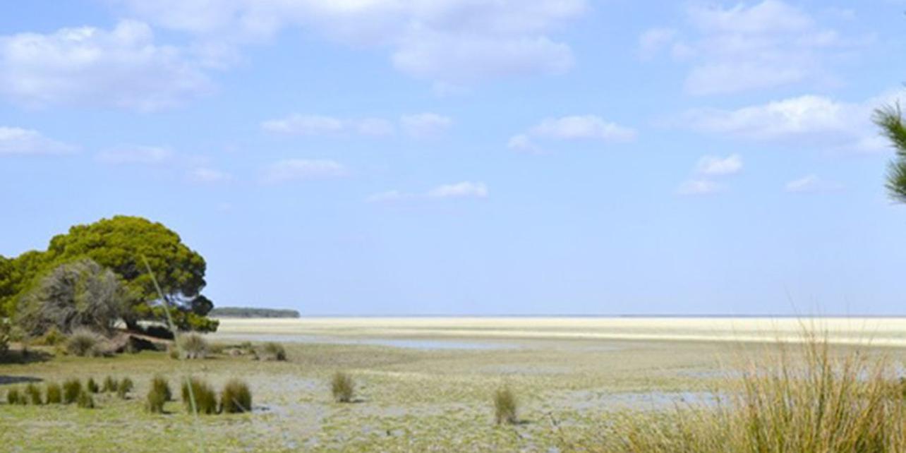 Parque Nacional de Doñana Parque Nacional de Doñana