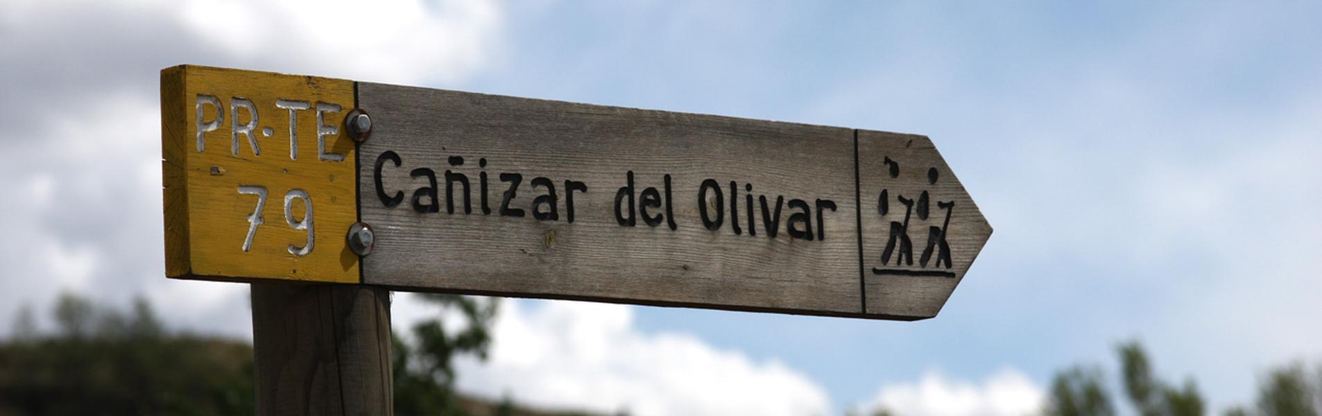 Cañizar del Olivar