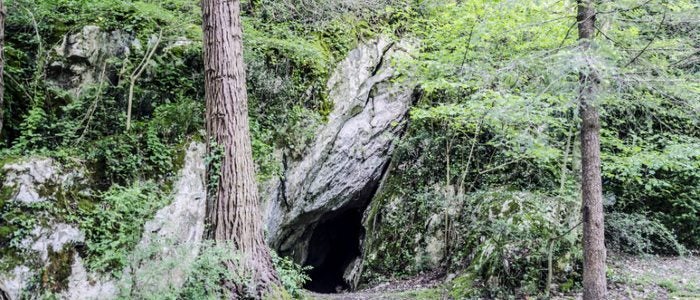 Es común en Navarra encontrar cuevas rurales. Es común en Navarra encontrar cuevas rurales.