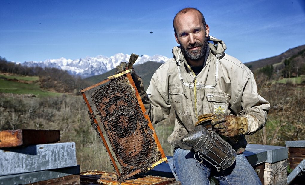 Rubén Varona, apicultor de Colmenares de Vendejo, sujetando un panal de abejas