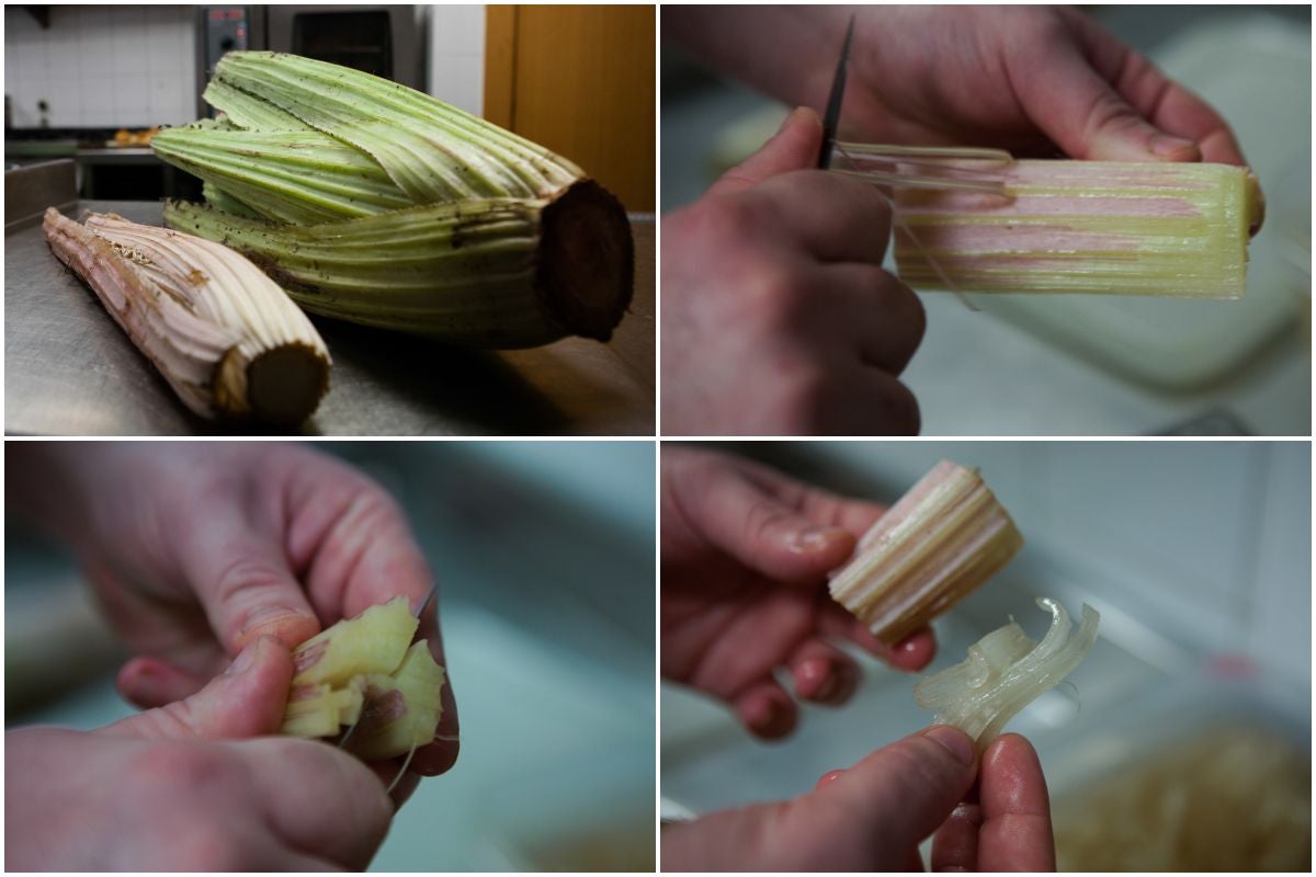Rizando el cardo. Rizando el cardo.