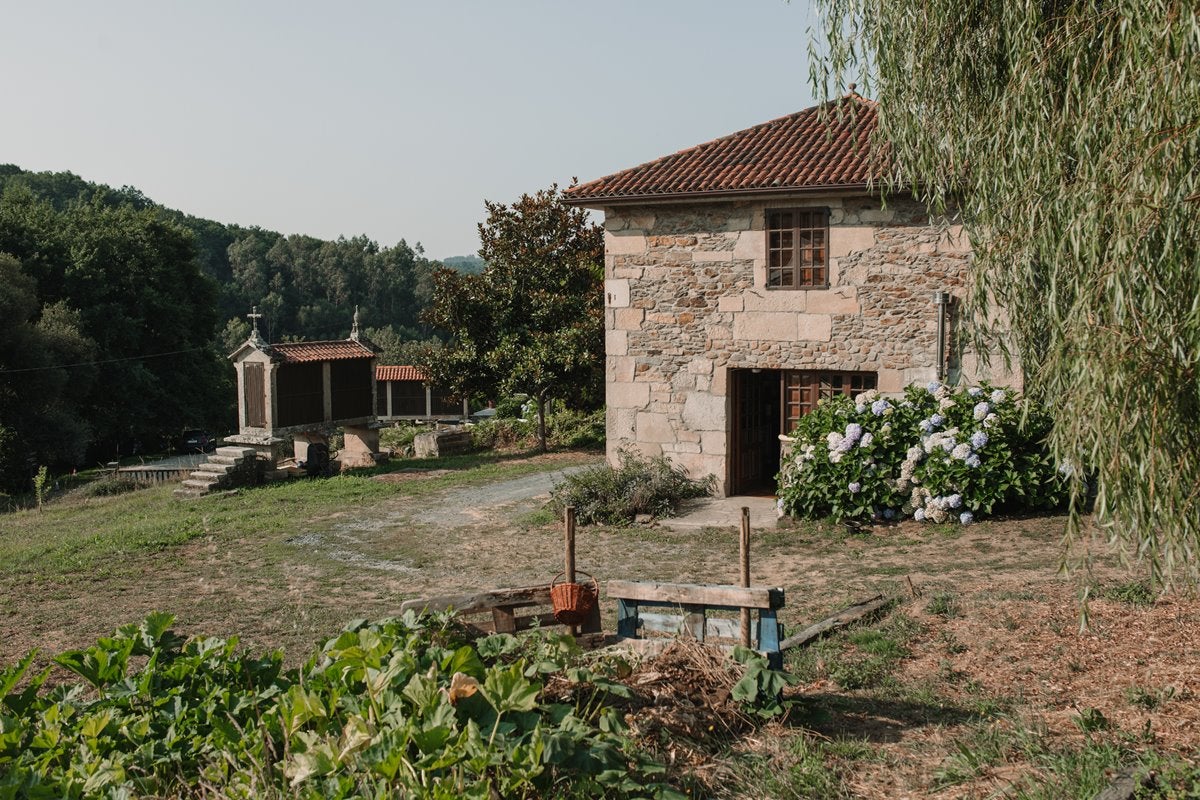 El terreno donde cultiva Alberto antes pertenecía al Pazo Bendoiro, justo al lado. El terreno donde cultiva Alberto antes pertenecía al Pazo Bendoiro, justo al lado.