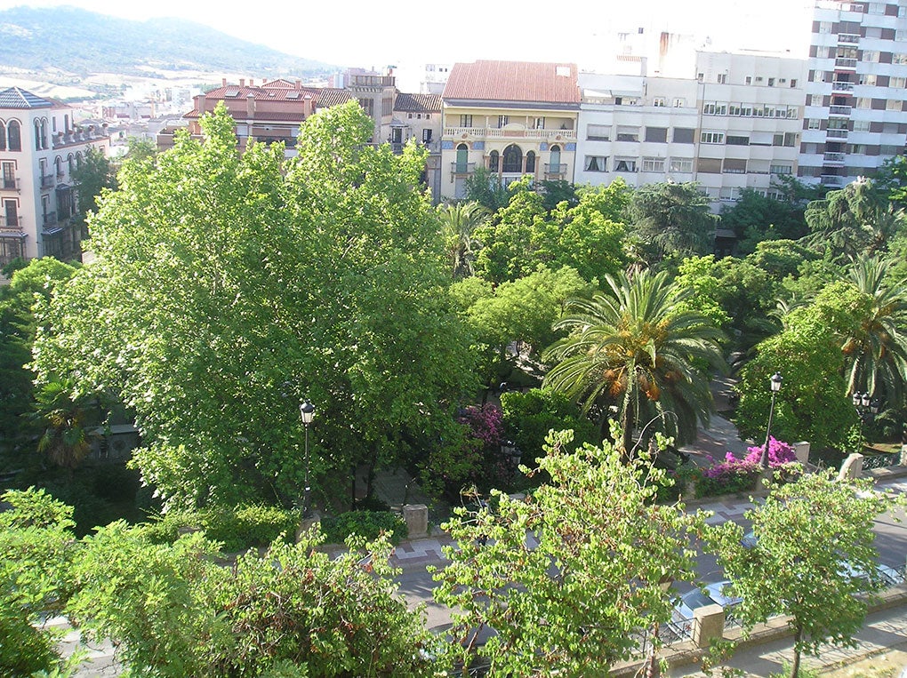 El paseo de Cánovas, un agradable plan. Foto: Bancode Imágenes del Ayuntamiento de Cáceres. El paseo de Cánovas, un agradable plan. Foto: Bancode Imágenes del Ayuntamiento de Cáceres.