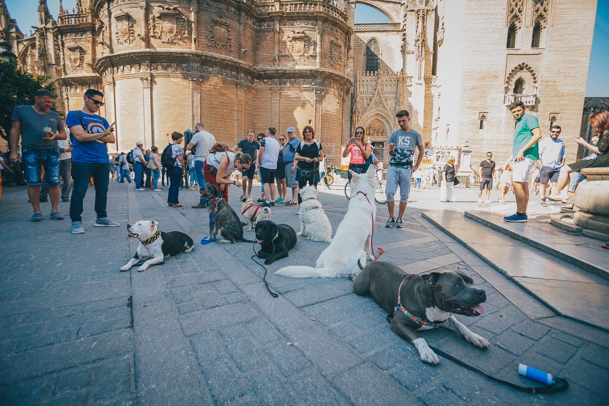 El grupo de la ruta atrae todas las miradas cumpliendo el reto: quietos hasta la orden. El grupo de la ruta atrae todas las miradas cumpliendo el reto: quietos hasta la orden.