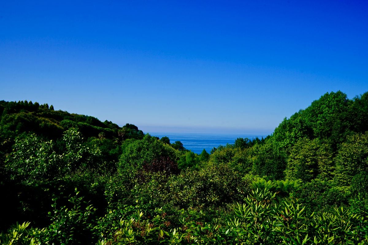 Vistas desde los jardines de la Fonte Baixa, en Luarca (Asturias). Vistas desde los jardines de la Fonte Baixa, en Luarca (Asturias).
