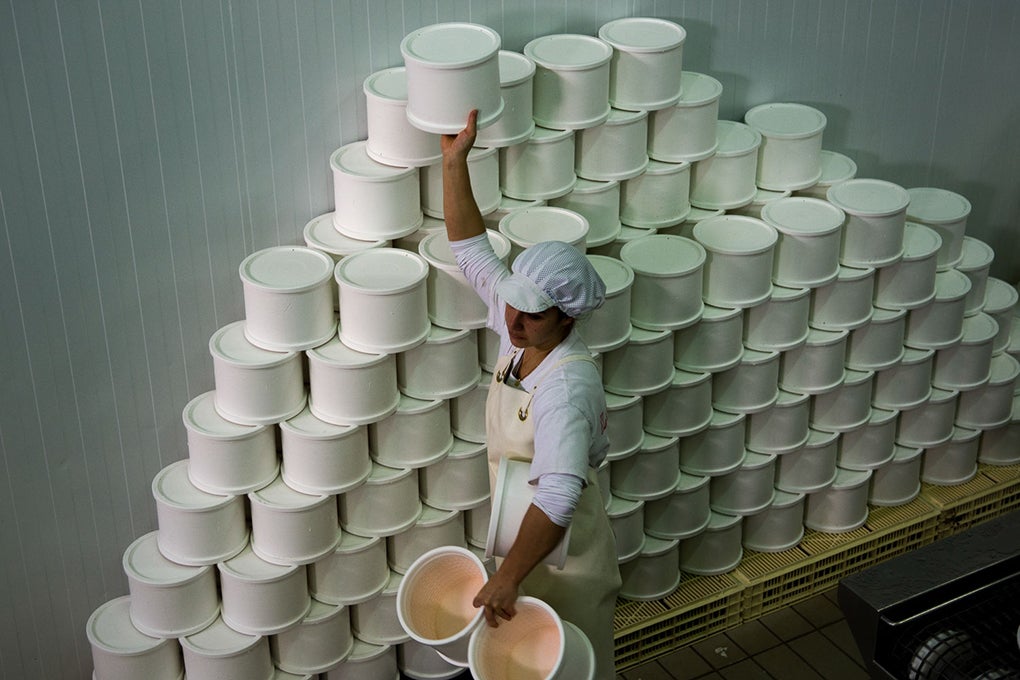 Esta empresa familiar cuenta con cámaras de secado, maduración y mantenimiento para la producción de quesos. Esta empresa familiar cuenta con cámaras de secado, maduración y mantenimiento para la producción de quesos.