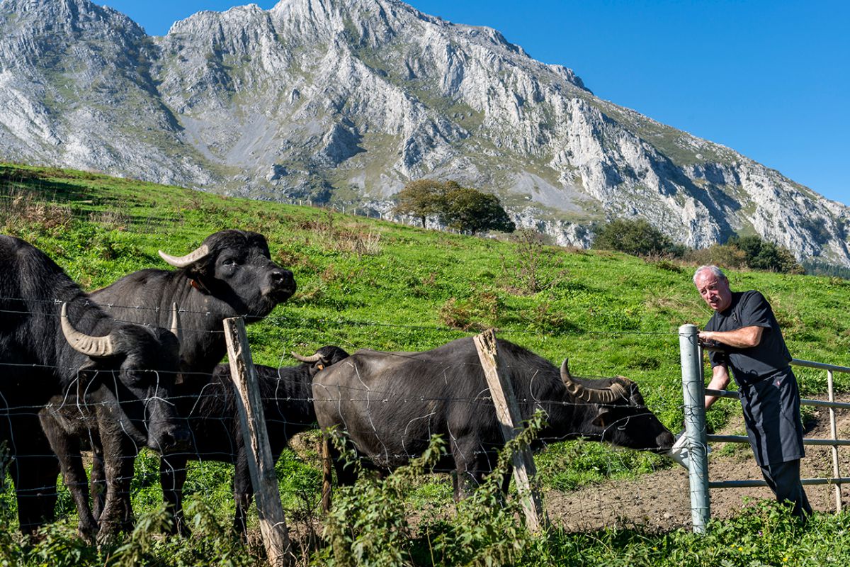 Bittor, del 'Asador Etxebarri', en el bucólico paraje donde vive y trabaja, junto a sus búfalas. Foto: Alfredo Cáliz. Bittor, del 'Asador Etxebarri', en el bucólico paraje donde vive y trabaja, junto a sus búfalas. Foto: Alfredo Cáliz.