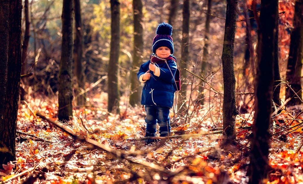 Consejos Para Ir Con Niños Al Bosque Guía Repsol