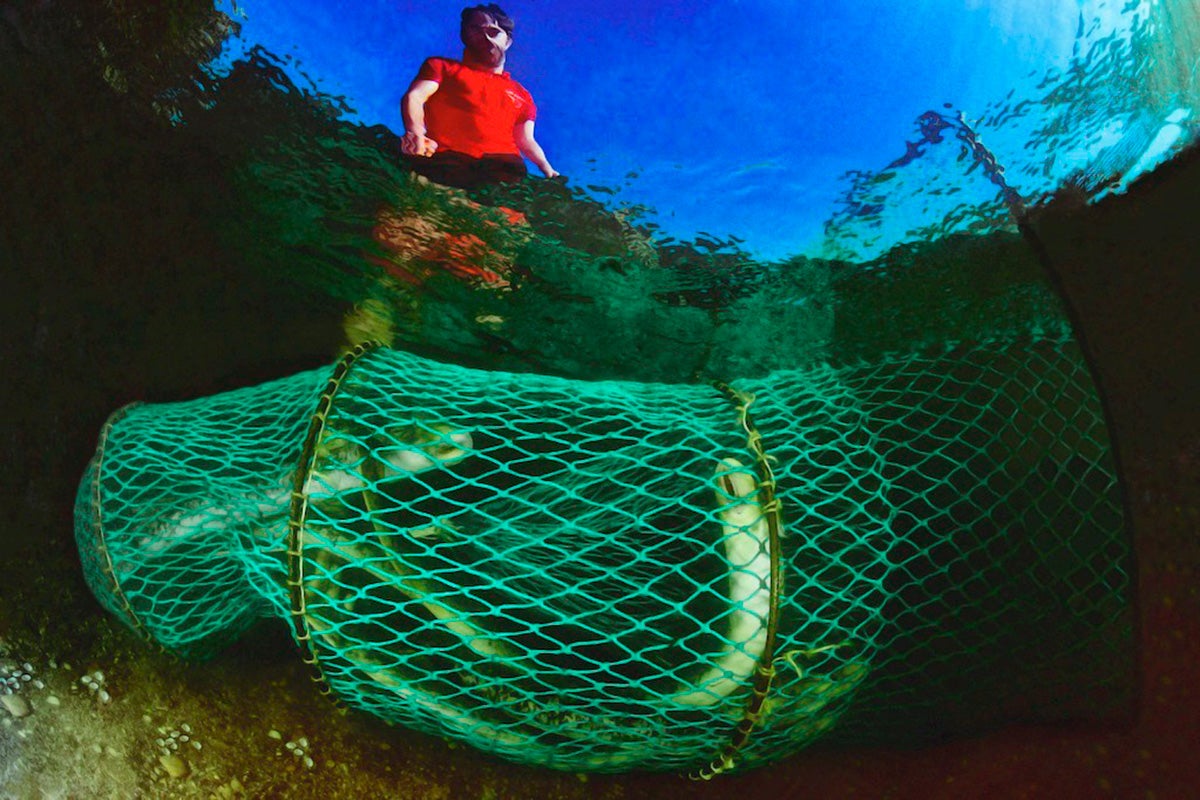 Pescando lamprea en el río Miño. Foto: Age Fotostock