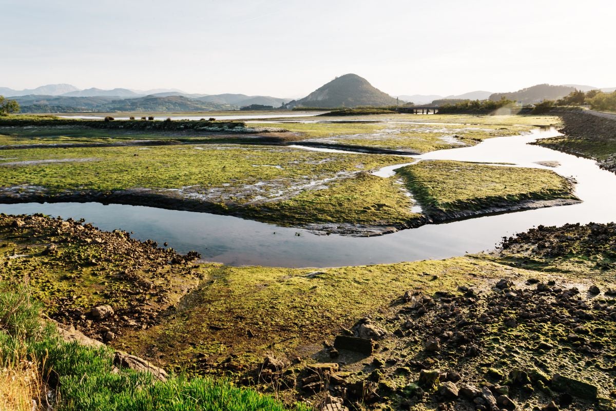 El Parque Natural de las Marismas de Santoña, Victoria y Joyel, en la desembocadura del río. El Parque Natural de las Marismas de Santoña, Victoria y Joyel, en la desembocadura del río.