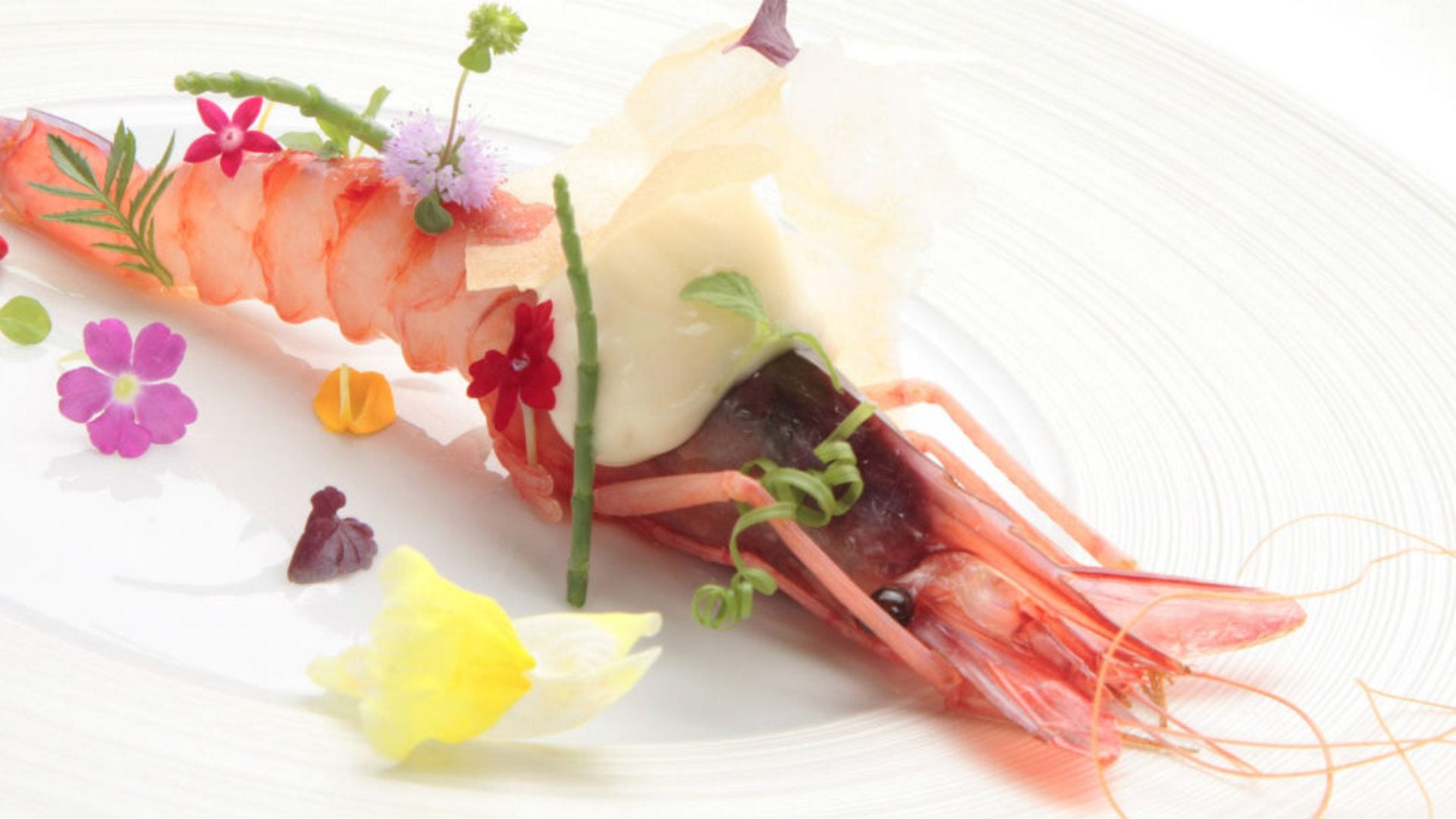 Plato estrella: Gamba roja de Dénia Plato estrella: Gamba roja de Dénia
