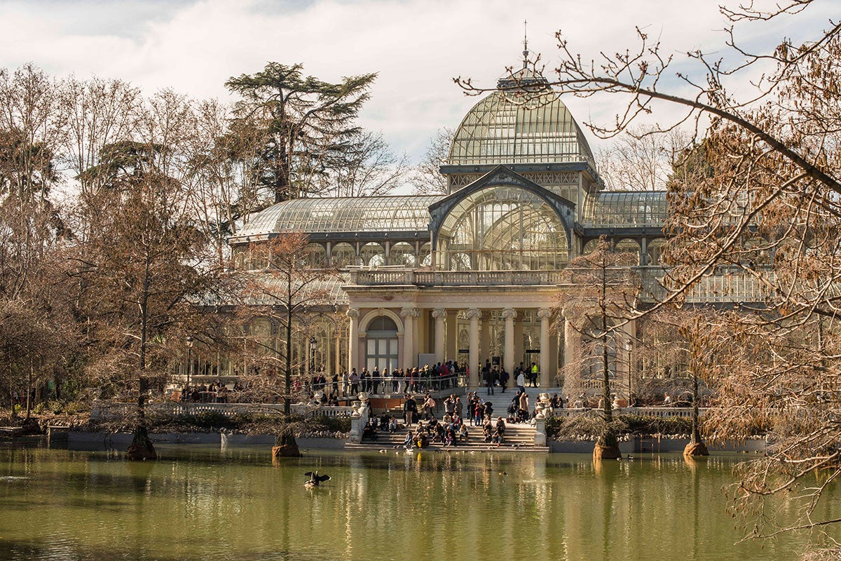 El Palacio de Cristal es el invernadero-estufa más grande del Retiro. Acogió las plantas de Filipinas en la Expo de 1887. El Palacio de Cristal es el invernadero-estufa más grande del Retiro. Acogió las plantas de Filipinas en la Expo de 1887.