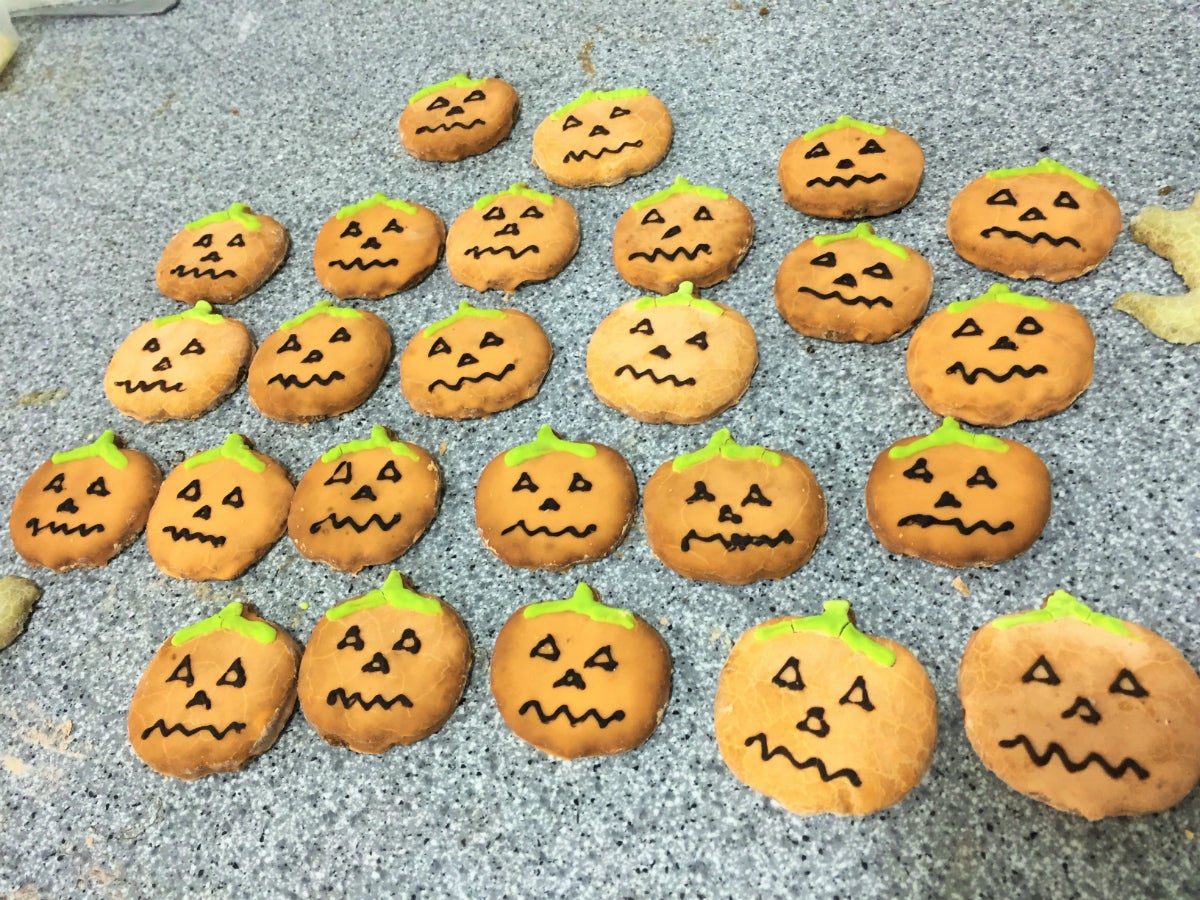 Las mascotas tuvieron su Halloween. Las mascotas tuvieron su Halloween.