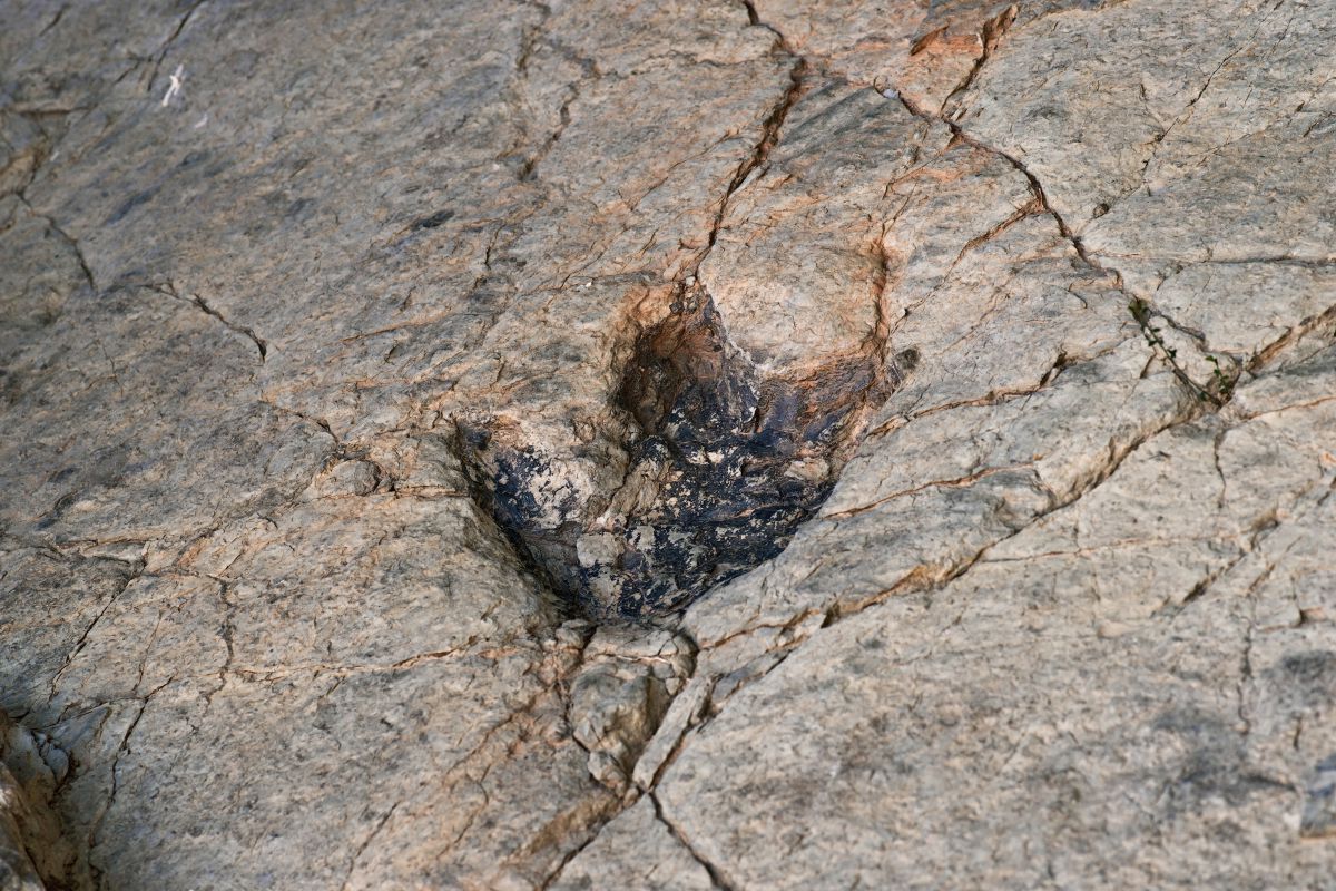 Una huella de dinosaurio fosilizada sobre una roca en Enciso. Foto: Shutterstock. Una huella de dinosaurio fosilizada sobre una roca en Enciso. Foto: Shutterstock.