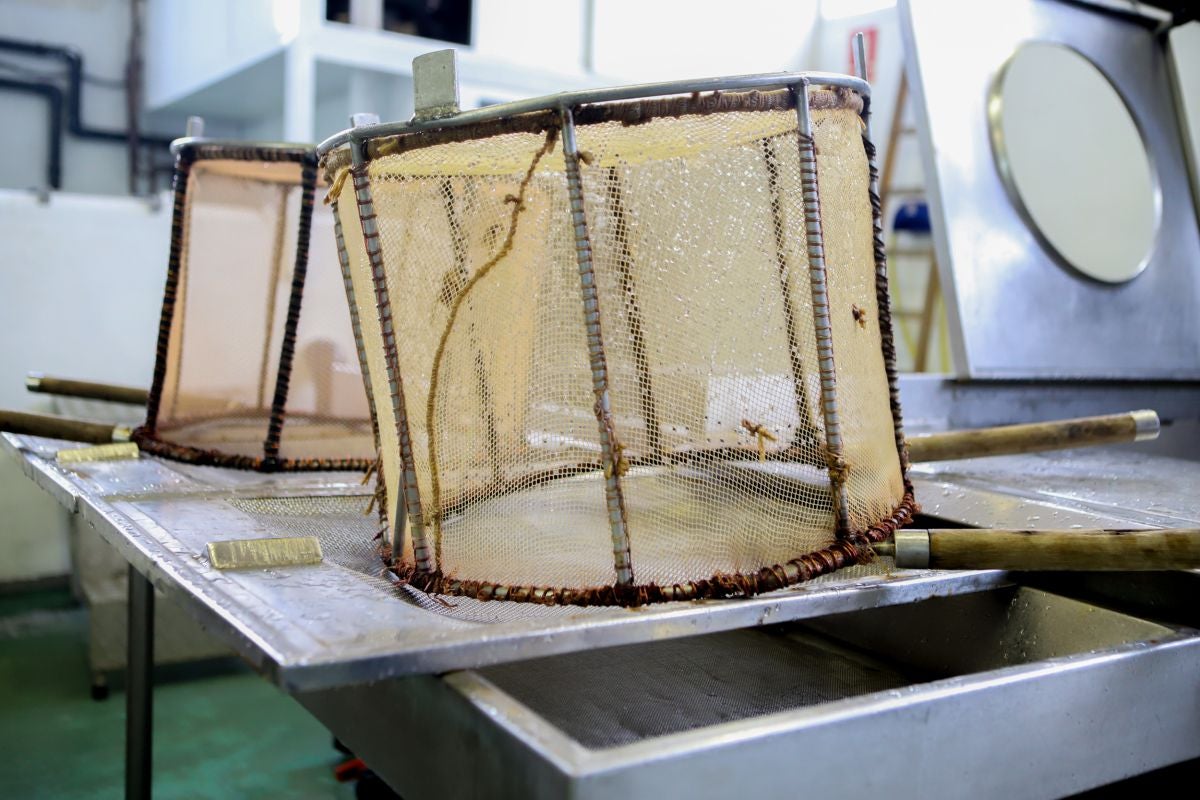 En Euskadi el arte de pesca se hace a través del cedazo o 'baia'. En Euskadi el arte de pesca se hace a través del cedazo o 'baia'.