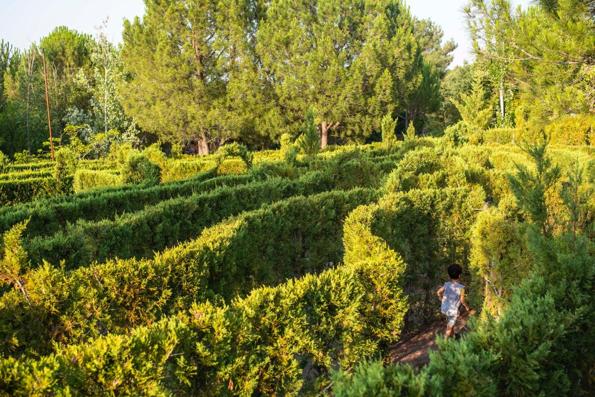 Un laberinto vegetal promete un divertido juego donde no siempre es fácil encontrar la salida. Un laberinto vegetal promete un divertido juego donde no siempre es fácil encontrar la salida.